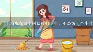 上海现在请个阿姨打扫卫生，不烧饭一个小时多少钱，一周2-3次这样~