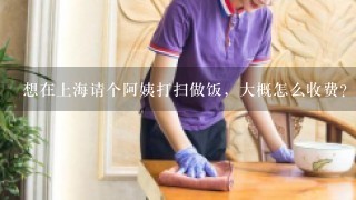 想在上海请个阿姨打扫做饭，大概怎么收费？