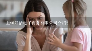 上海好洁电子商务有限公司介绍？